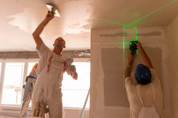 Best Drywall Sanding and Smoothing  in Emmetsburg, IA