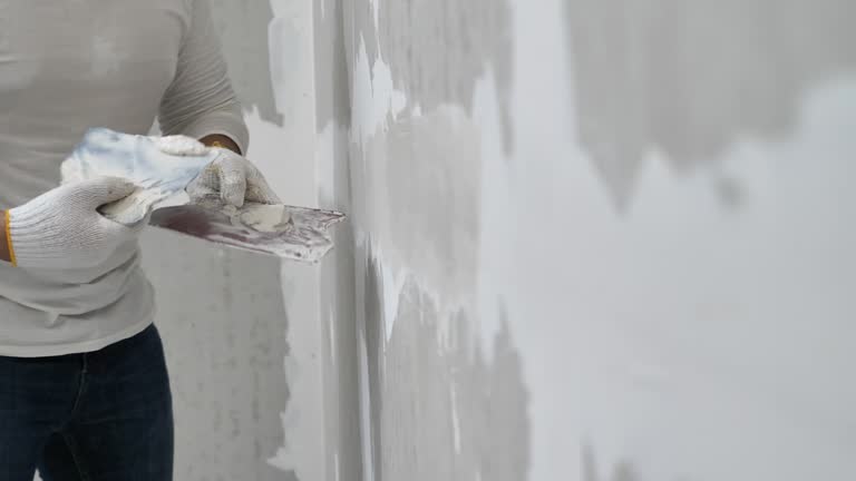 Best Drywall Sanding and Smoothing  in Emmetsburg, IA